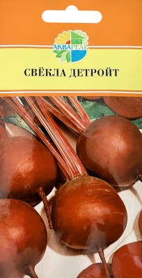 Свекла столовая Детройт АКВАРЕЛЬ