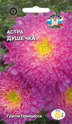Астра Душечка принцесса (малиново-розовая)