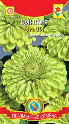 Цинния Энви*