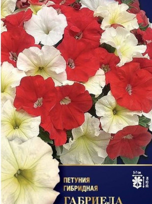 Петуния Габриела F1 (многоцветковая) (Евро, 5; 8462    )