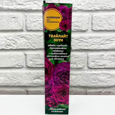 Роза грандифлора ТВАЙЛАЙТ ЗОУН
