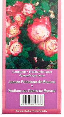 Роза флорибунда ЖЮБИЛЕ ДЮ ПРИНС ДЕ МОНАКО