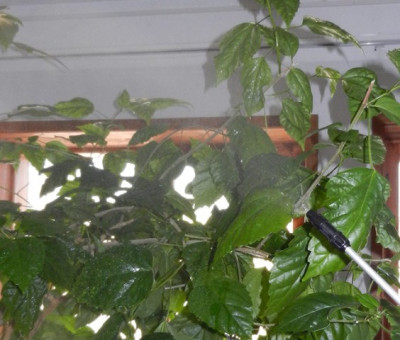 Опрыскиватель Туман ОГ-307-М2 модифицированный