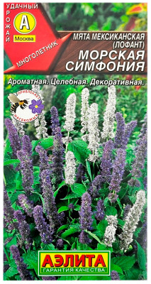 Мята мексиканская лофант МОРСКАЯ СИМФОНИЯ АЭЛИТА