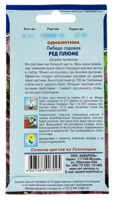 Лебеда садовая РЕД ПЛЮМЕ АКВАРЕЛЬ описание