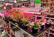 Магазин Семена в Самаре