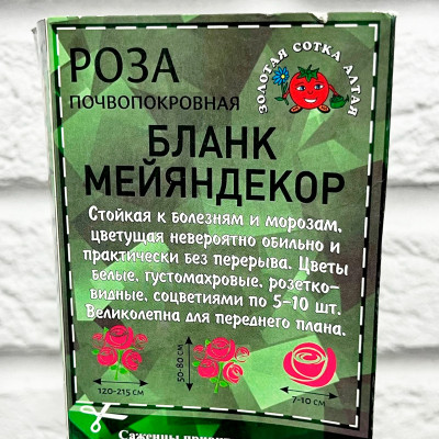 Роза почво-покровная БЛАНК МЕЙЯНДЕКОР описание