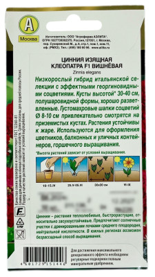 Цинния изящная клеопатра ВИШНЁВАЯ АЭЛИТА описание Цинния изящная клеопатра ВИШНЁВАЯ АЭЛИТА описание