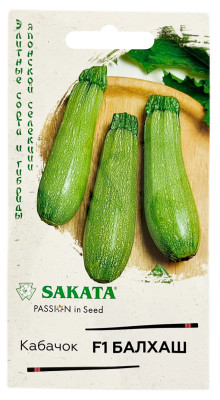 Кабачок Балхаш F1 ГАВРИШ