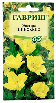 Энотера двулетняя Пиноккио ГАВРИШ