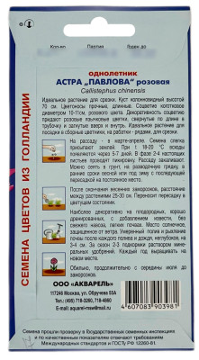 Астра ПАВЛОВА розовая АКВАРЕЛЬ описание