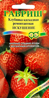 Клубника ампельная Искушение 10шт