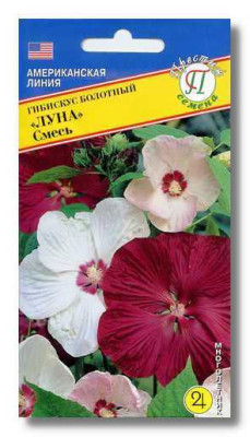 Гибискус Луна смесь 3шт