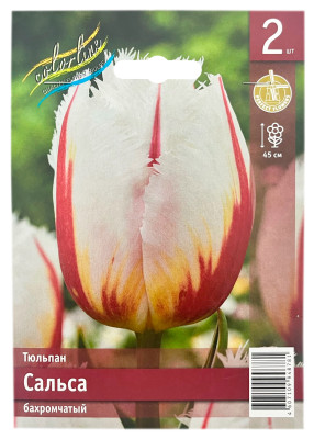 Тюльпан бахромчатый САЛЬСА
