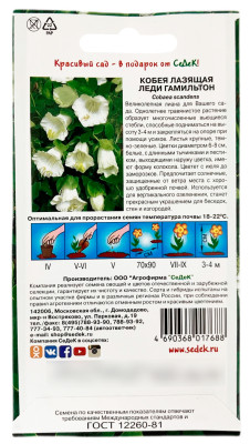 Кобея лазящая ЛЕДИ ГАМИЛЬТОН СеДеК описание