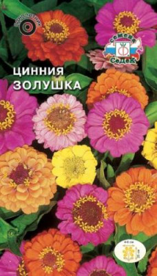 Цинния Золушка карликовая (смесь)