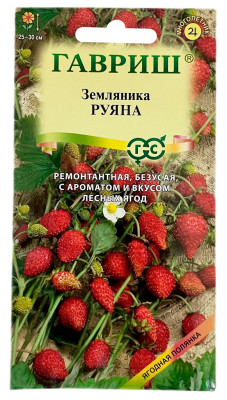 Земляника РУЯНА ГАВРИШ