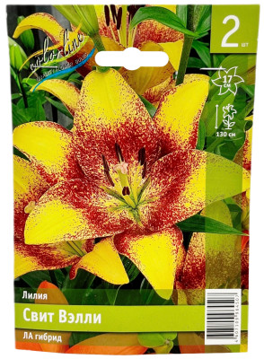 Лилия Свит Вэлли ЛА гибрид