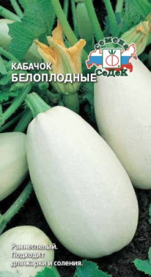 кабачок Белоплодный