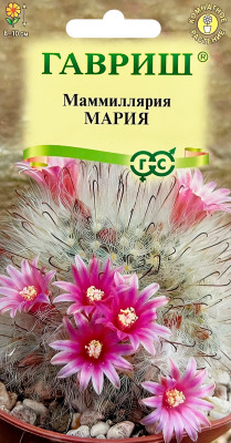 Маммиллярия бокасанская (Кактус) Мария 2шт Маммиллярия бокасанская (Кактус) Мария 2шт