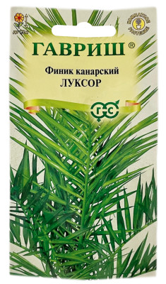 Финик канарский ЛУКСОР ГАВРИШ