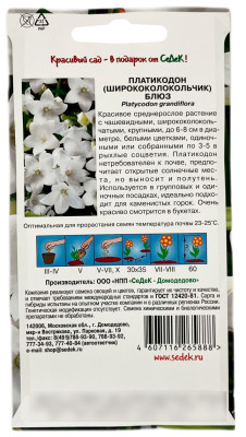 ПЛАТИКОДОН ширококолокольчик БЛЮЗ СеДеК описание