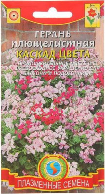 Пеларгония Герань Каскад цвета амп. 3шт