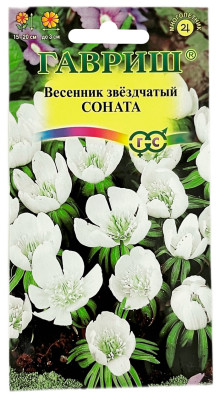 Весенник звёздчатый СОНАТА ГАВРИШ