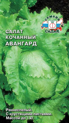 салат Авангард (айсберг)