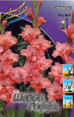 Гладиолус Шейди Раффл (1шт) 3022