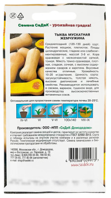 Тыква Мускатная Жемчужина СеДеК описание