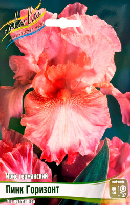 Ирис Пинк Горизонт (1шт)