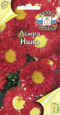 Астра Нина (простая, ало-красная)