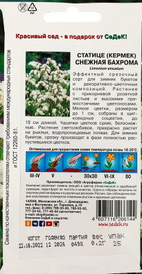 Статице Снежная бахрома (вид: выемчатый, белый)