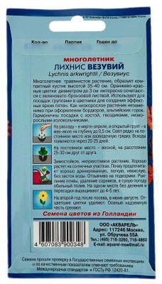 Лихнис ВЕЗУВИЙ АКВАРЕЛЬ описание