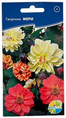 Георгина МЕРИ АКВАРЕЛЬ