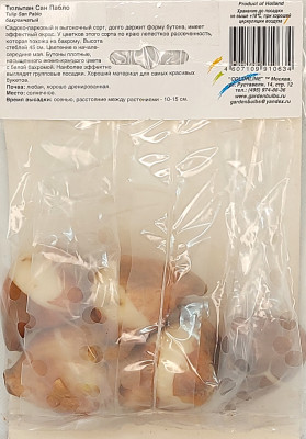 Тюльпан Сан Пабло (1шт)