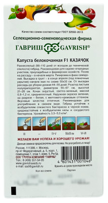 Капуста белокочанная КАЗАЧОК ГАВРИШ описание