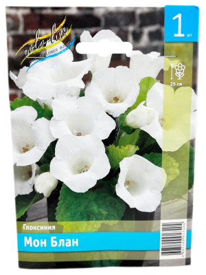 Глоксиния МОН БЛАН
