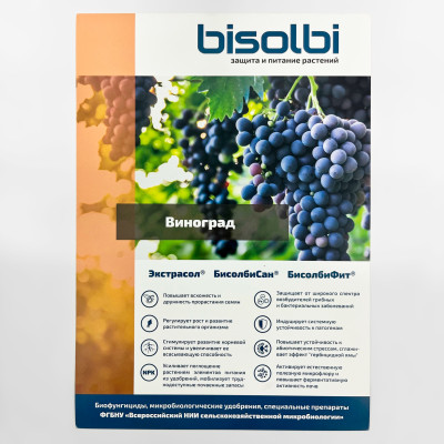 БиосолбиСан 500мл описание (2)