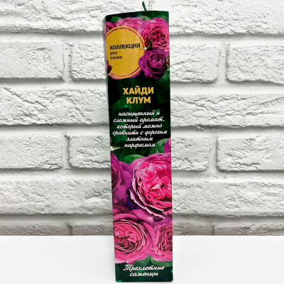 Роза патио ХАДИ КЛУМ