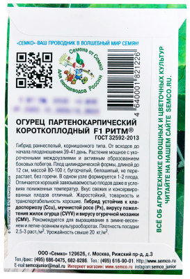 Огурец Ритм F1 СЕМКО описание