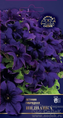 Петуния Индианка F1 (крупноцветковая)