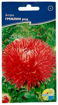 Астра ГРЕМЛИН ред АКВАРЕЛЬ
