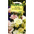Эустома Золушка F1 3 шт. гранул. пробирка сер.Элитная клумба