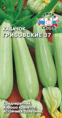 Кабачок Грибовские 37