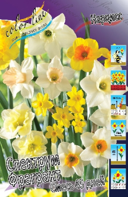 Нарцисс Спектрум Фрагрант Смесь 45 Дней (1шт)