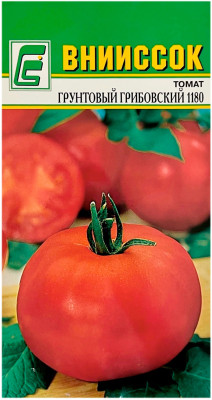 Томат ГРУНТОВЫЙ ГРИБОВСКИЙ 1180 ВНИИССОК