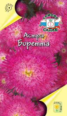 Астра Боретта принцесса (красная)