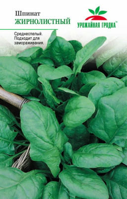 Шпинат Жирнолистный УГ